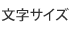 文字の大きさ