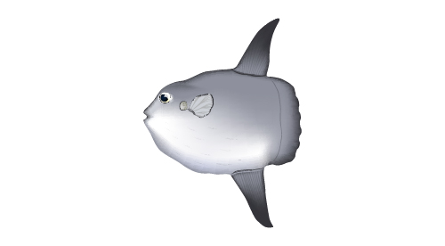 マンボウのイメージ