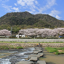 企業版ふるさと納税の画像