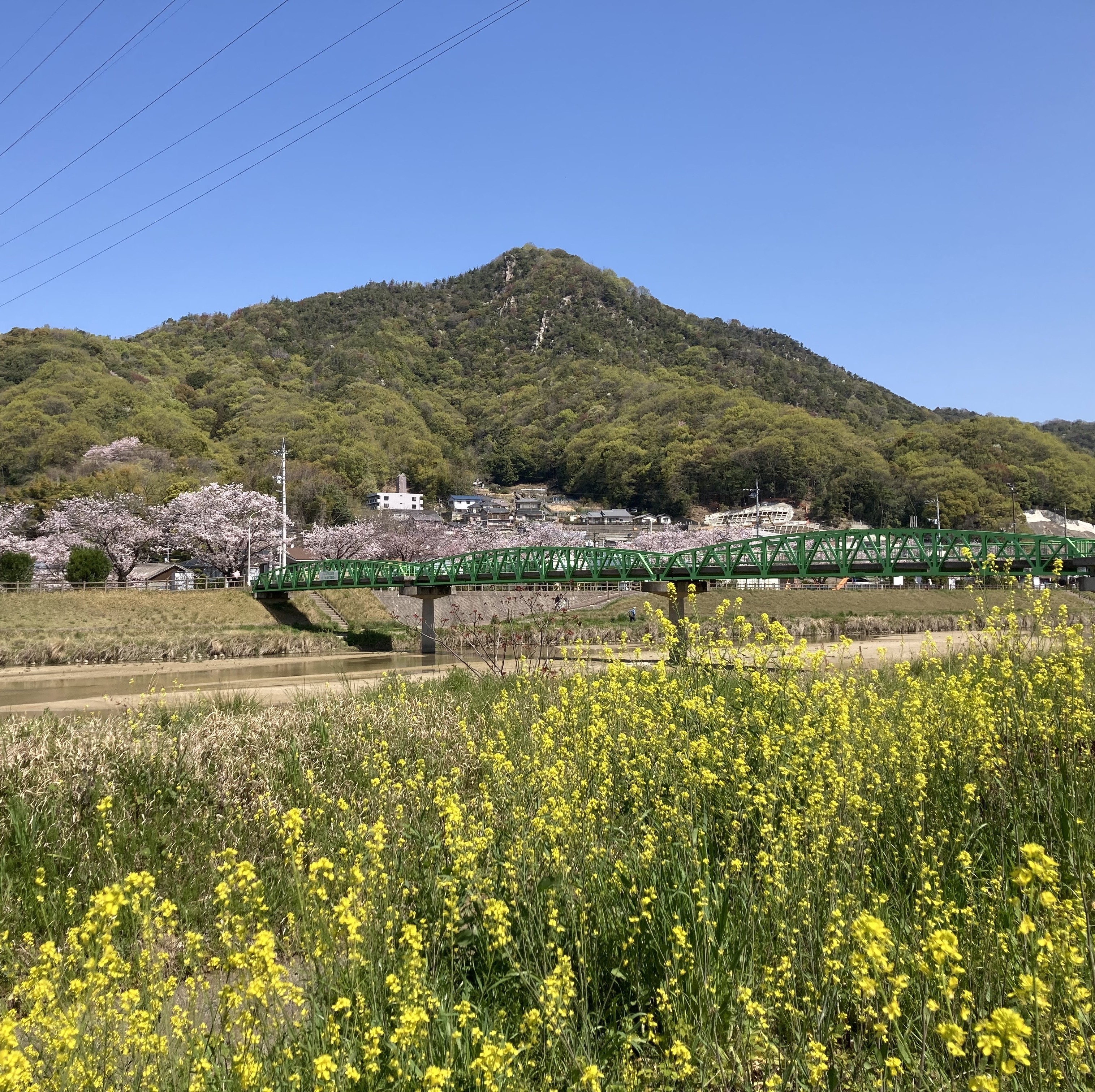 職員採用試験情報の画像