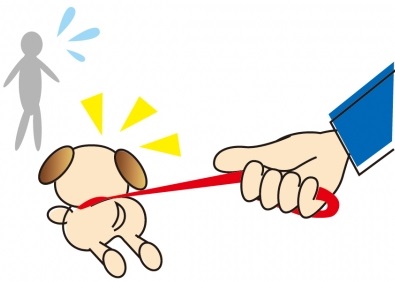 リードでつながれた犬