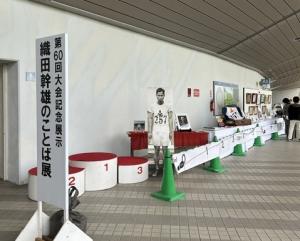 展示2