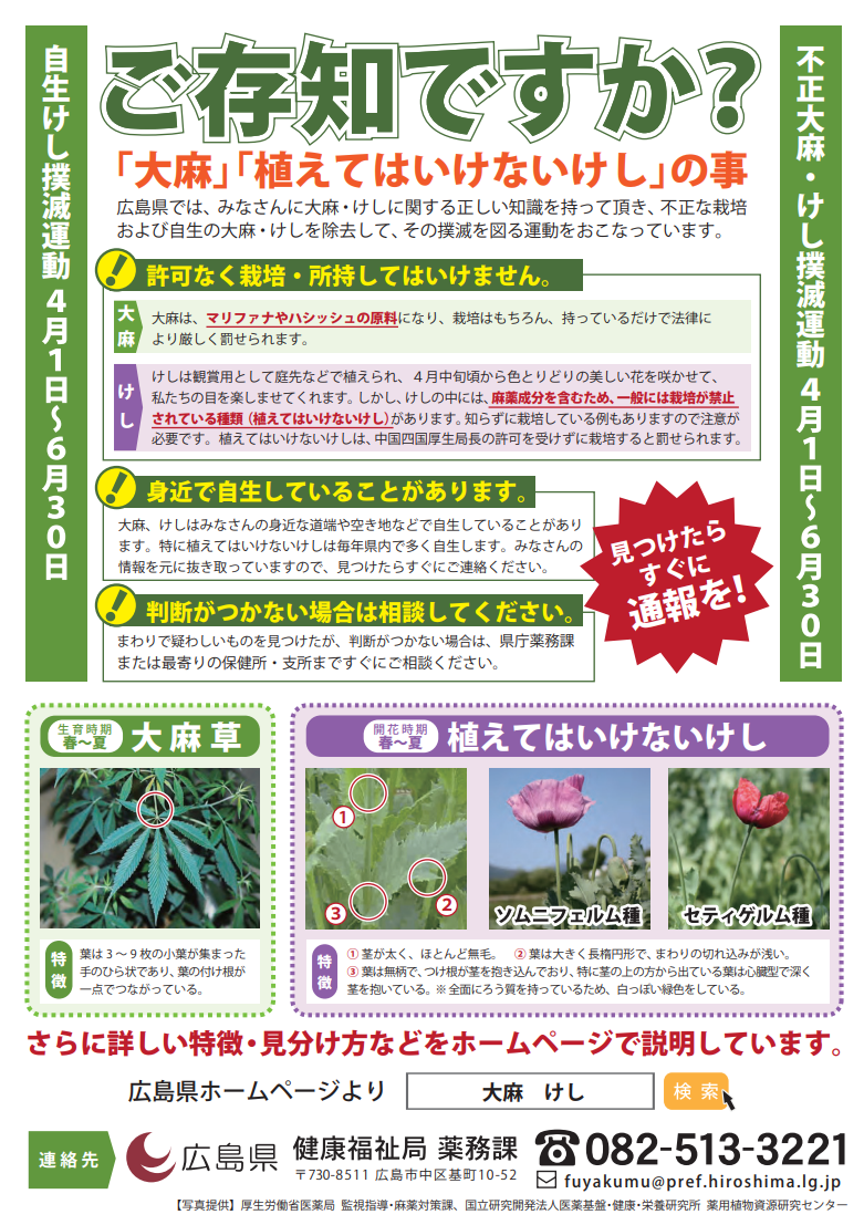 大麻・けし撲滅運動チラシ（広島県健康福祉局薬務課作成）