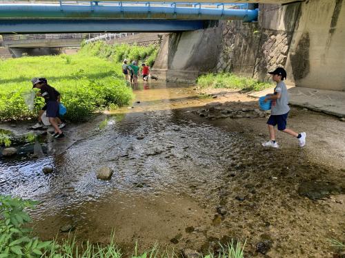 水辺教室の活動状況②