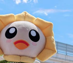 ひまたと処暑