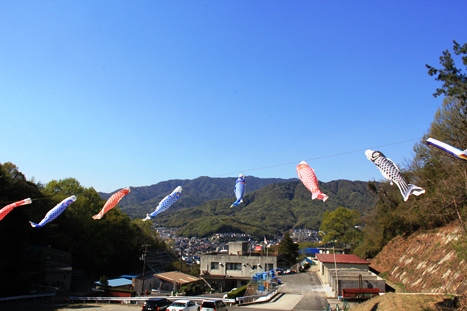 環境センターのこいのぼり　2014年4月14日撮影 