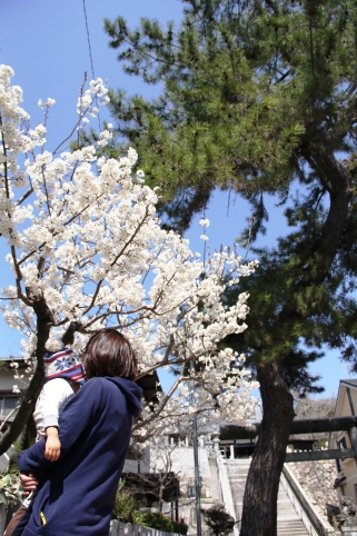 熊野神社 　2013年3月12日撮影 