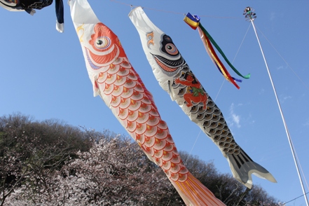 2012年4月6日撮影した一貫田公園の鯉のぼり
