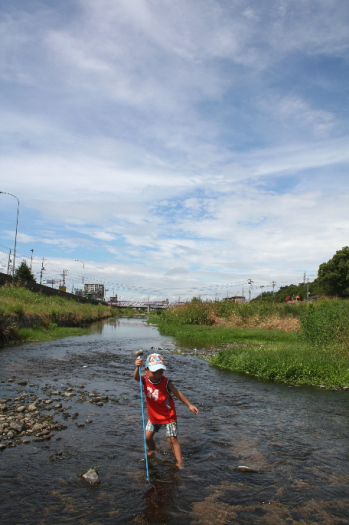 2008年8月13日に撮影した瀬野川での川遊びの風景