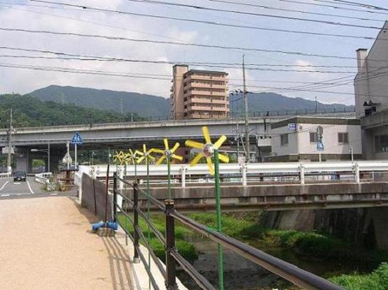2008年7月15日撮影したひまわり風車の写真
