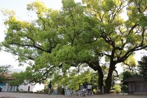 ふるさと館開館20周年イベント