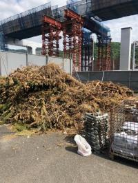 植栽伐採