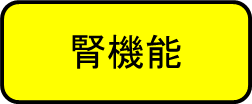 腎機能題名