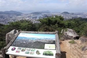 日浦山山頂