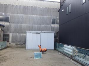 月見町ちびっこ公園