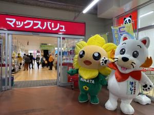はっしーといっしょ