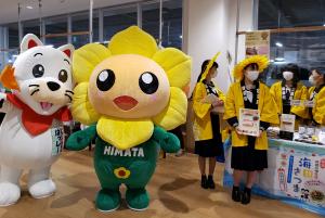 うりばのようす