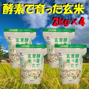 酵素で育った玄米