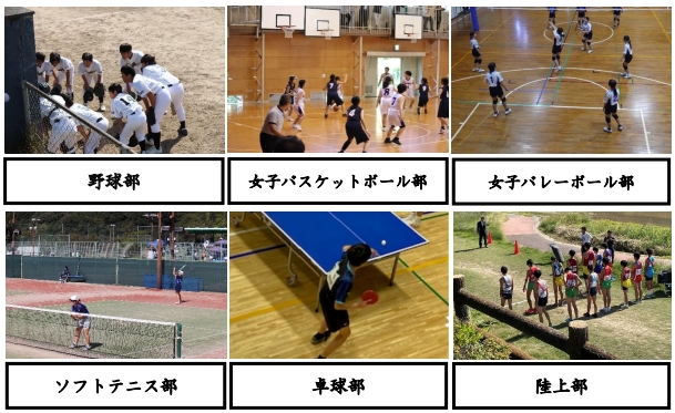 新人大会