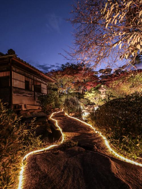 歴史照らす通り路