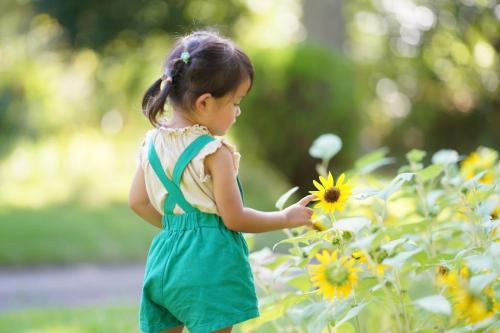 3歳の夏