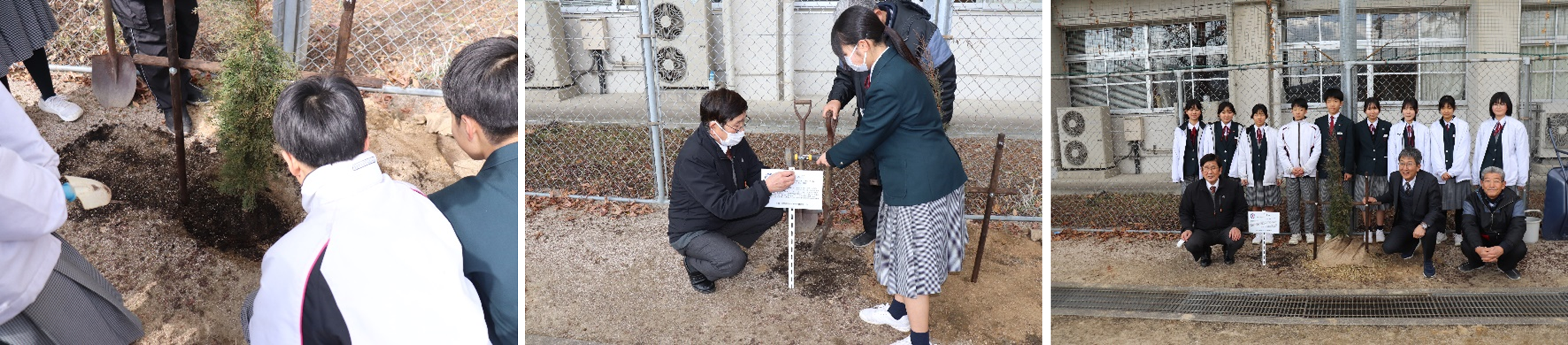 JRC植樹活動