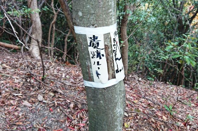 登山道の作設