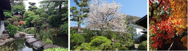 庭園