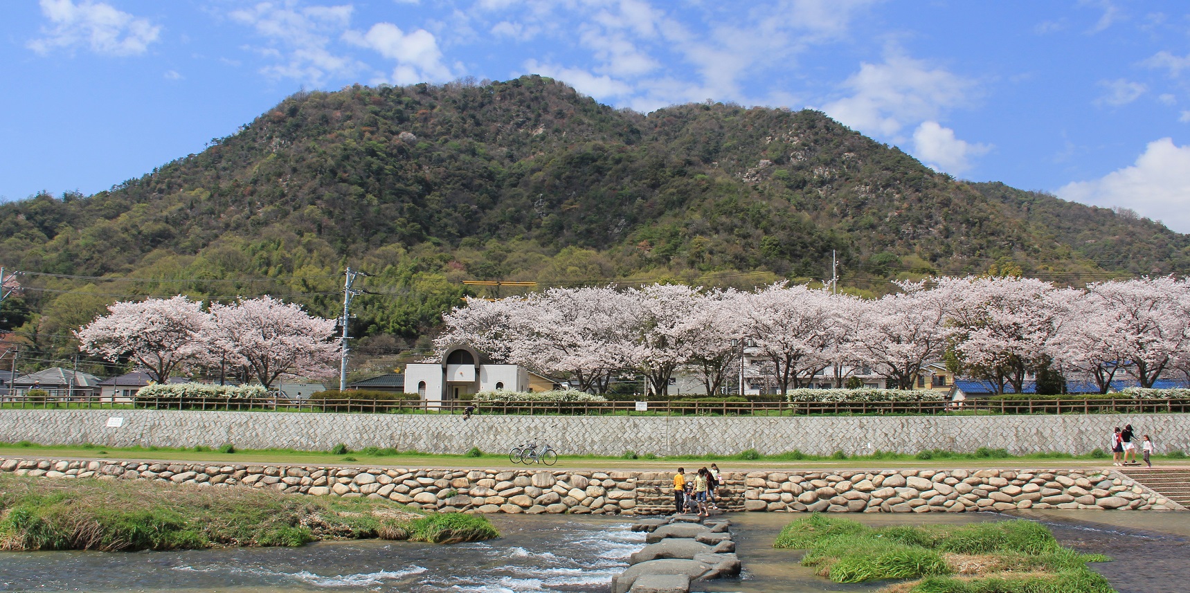 企業版ふるさと納税のタイトル画像